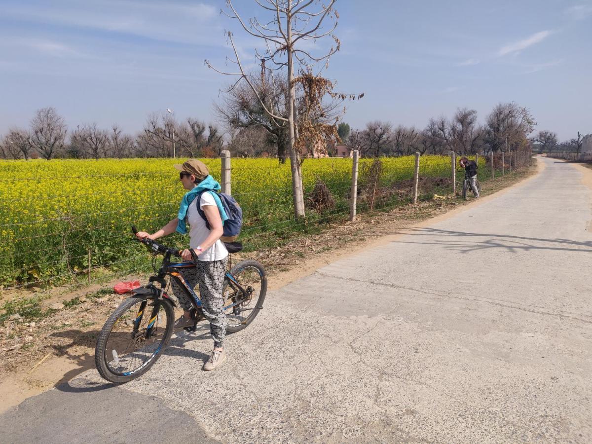 Tourist Pension Nawalgarh エクステリア 写真