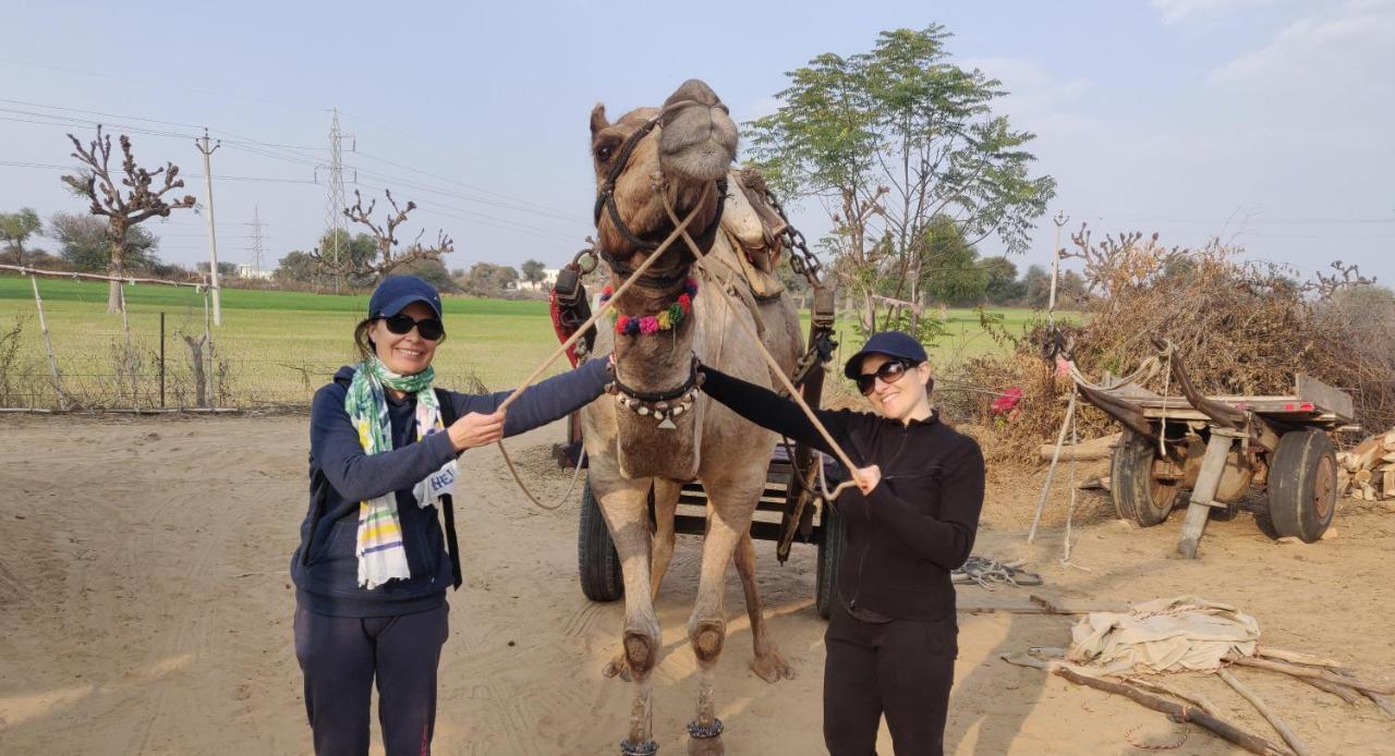 Tourist Pension Nawalgarh エクステリア 写真